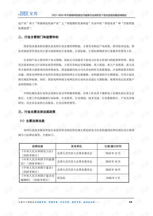 2021-2025年中國電網信息技術服務行業調研及個性化定制咨詢戰略分析