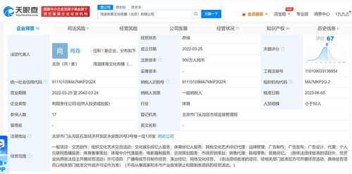 王濛445萬(wàn)元股權(quán)凍結(jié)風(fēng)波 流言紛飛中的真相探尋